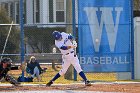 Baseball vs Brandeis  Wheaton College Baseball vs Brandeis University. - Photo By: KEITH NORDSTROM : Wheaton, Baseball